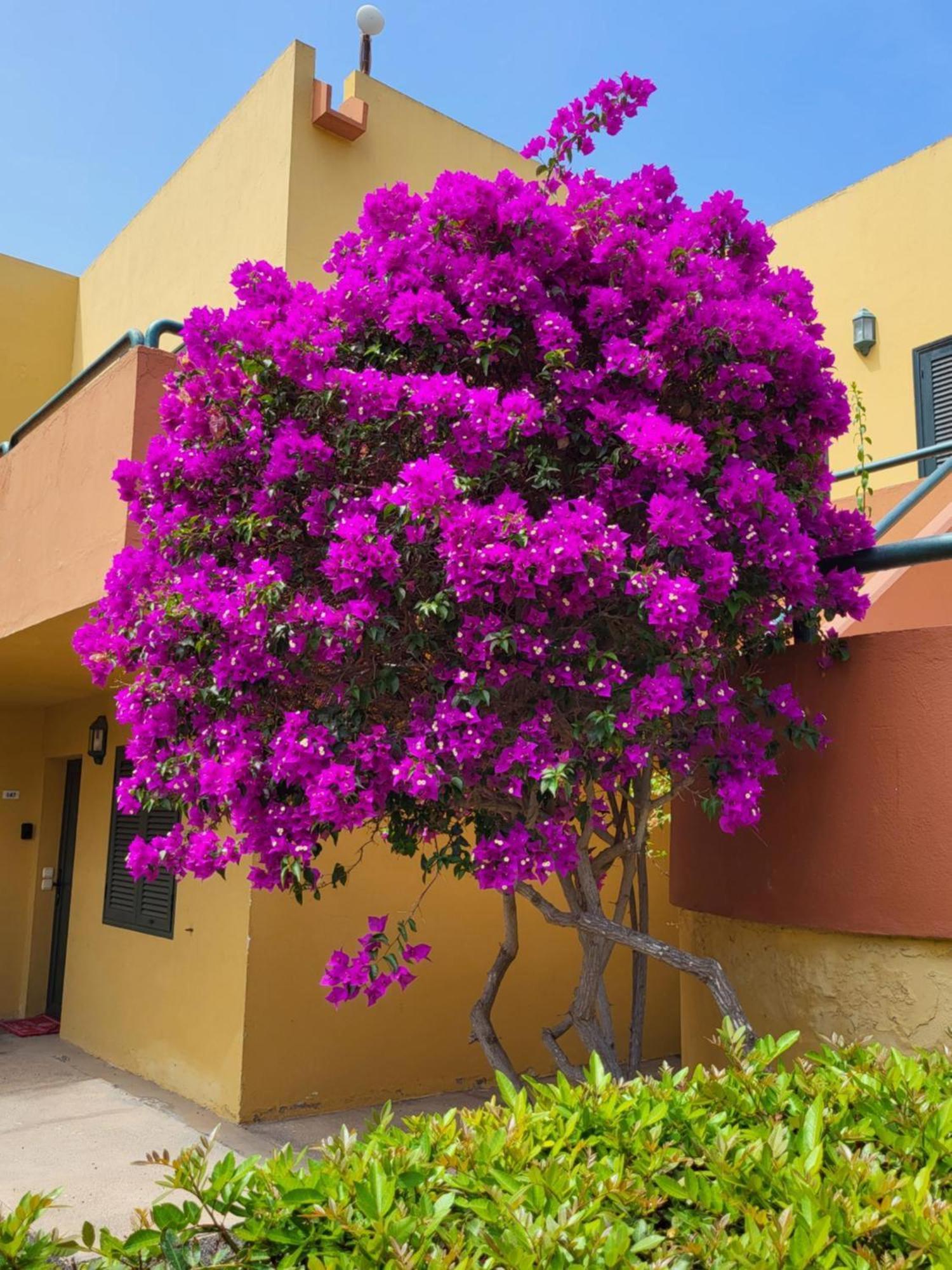 Casa Del Caballero Corralejo Bagian luar foto